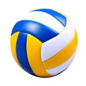 Volleyball ball to Hire a 
